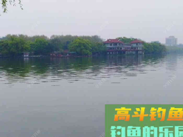 全方位谈钓鳊鱼的见解与体会，助你钓获大鳊鱼