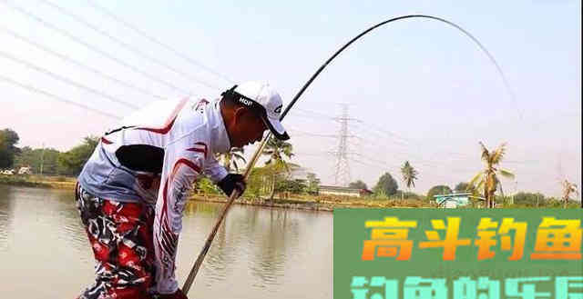 夏季钓黑鱼，分析黑鱼的生活习性选择合适钓法