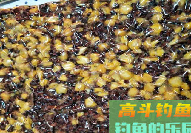 3条钓草鱼心得,掌握后,上鱼不是一般的快 3条钓草鱼心得,掌握后,上鱼不是一般的快
