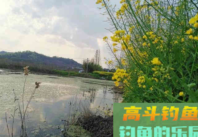 春天的黑鱼为何只咬一口？从水温入手找原因