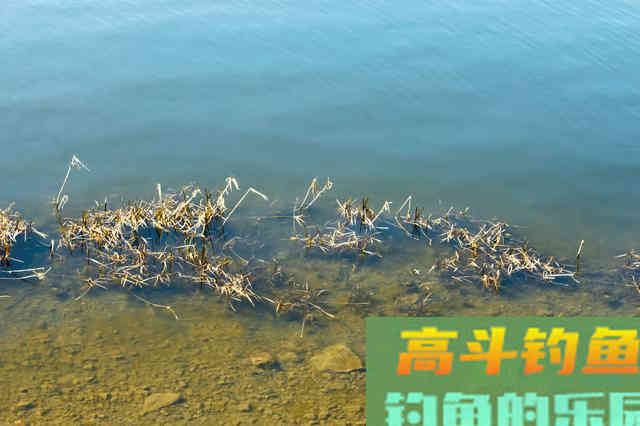 白条翘嘴这样钓，收获少不了，岸边走钓法助你
