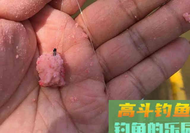 钓鲢鳙打不到正口？那是提竿不及时