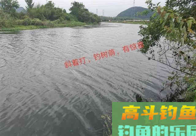 深秋野钓鲫鱼不宜死等口,传统钓主动出击找鱼窝更靠谱 深秋野钓鲫鱼不宜死等口,传统钓主动出击找鱼窝更靠谱