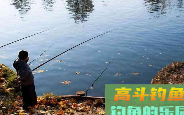 秋季退水后，不解决这个问题，一天都很难钓到鱼