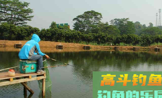 夏季钓大水域，天气变热，钓法也要随之改变