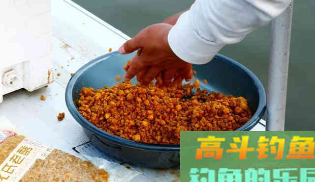 夏季钓鱼，要掌握这四个技巧