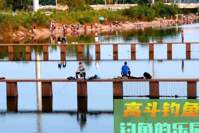 晚秋如何钓好混养塘，先做好这七点