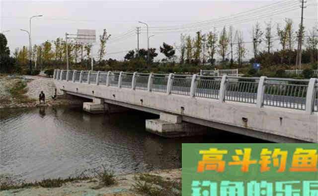 晚秋气温变低鱼情变差，有这5不钓，渔获才有保证