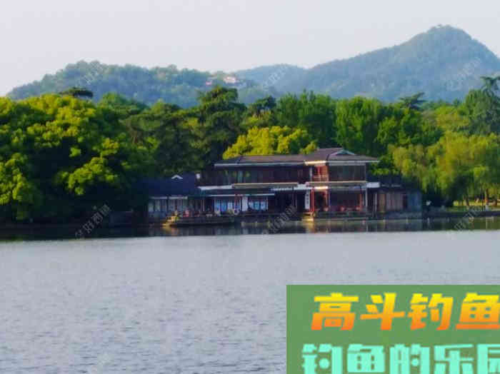 夏季钓鲫的7个概念，能让你在夏天更好的钓鱼，钓到大鱼