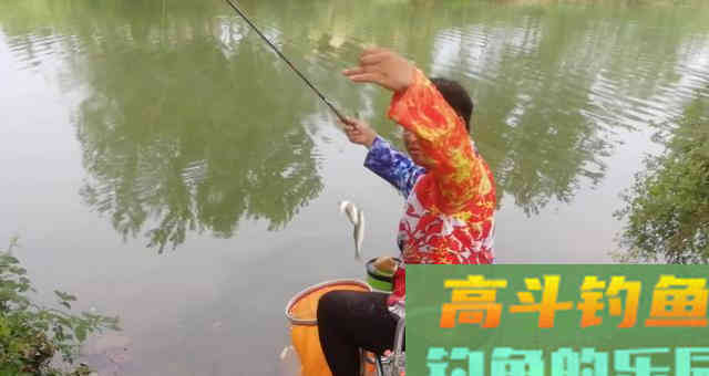 夏季钓鱼时，遇到这几种情况，果断采用离底钓