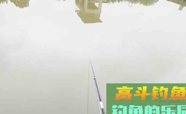 谁说夏季钓鱼不能用腥饵，虾仁蘸虫粉，半天钓了38斤鱼