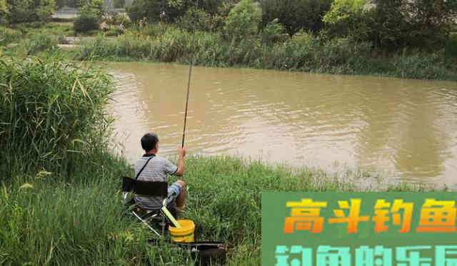 初夏，降雨增多，河流涨水鲫鱼多