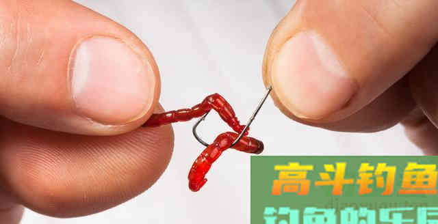 冬季居然是钓鲫鱼的黄金季节，应该钓深还是应该钓浅