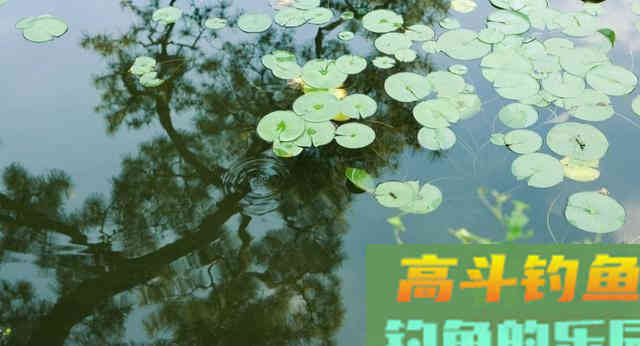 仲春钓鱼有3难，不仅是温度高钓浅水，难在鱼情和饵料