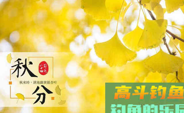 一场秋雨一场寒，秋分过后，钓深还是钓浅