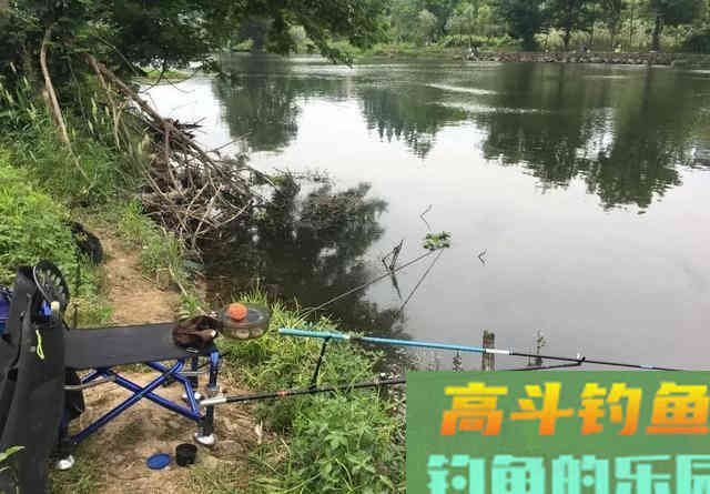 大冬天钓鱼还要起早吗？可能你不信，有些人起的比夏天更早