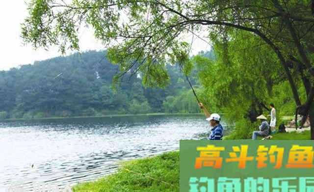 仲秋钓鱼，钓深也钓浅，钓静也钓活，走钓也守钓