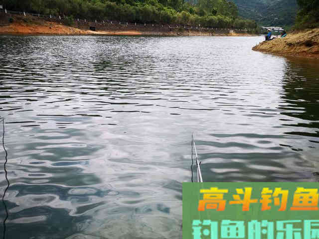 夏天鱼儿比较分散，但这几种天然鱼道比较聚鱼