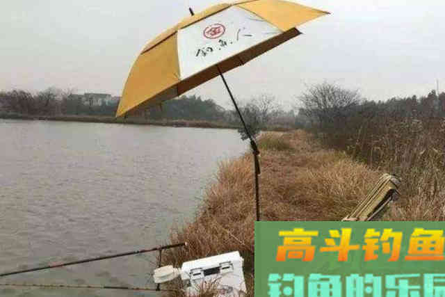 冬天太冷，鱼难钓到怀疑人生，庆幸老司机传授秘诀