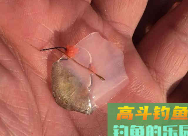 钓鲫鱼却总遇到鲤鱼？春季野钓这样搭配线组，才能大小兼收