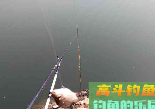 春季垂钓何时钓深？何时钓浅？看完这篇文章你就懂了