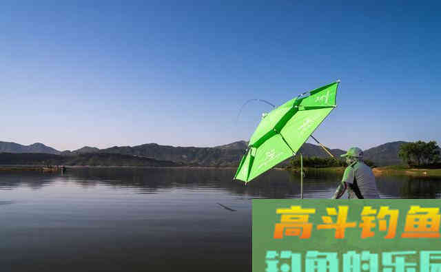 夏季野钓不上鱼怎么办？老钓友告诉你三招