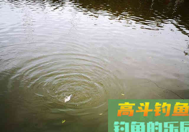 春季钓鱼，参考这5条实战经验，钓鱼就这么容易