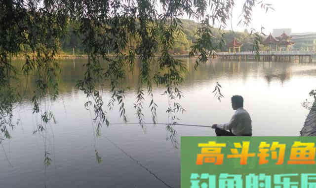 惊蛰之后钓浅滩，我这样搭配钓组、选择饵料