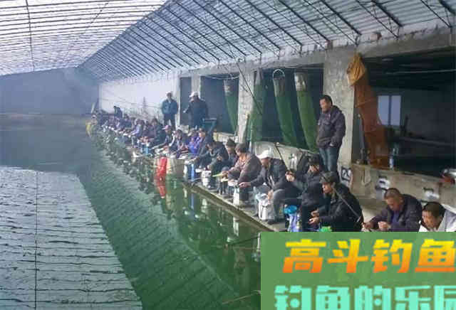 两类截口四种漂相，漂动就提，冬季钓大棚，想不上岸都难