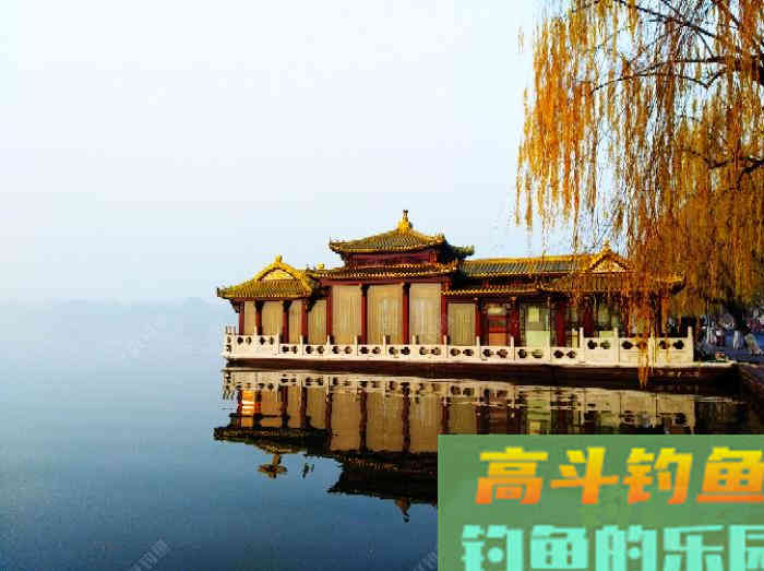 聊：冬钓的若干问题，来自高手的解答