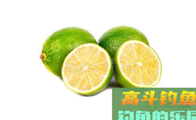 夏季天气太闷热，鱼不开口怎么办？试试这几招