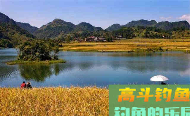 秋季钓鱼变数很多，技巧上要细分