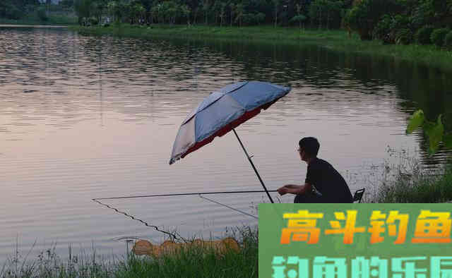 立秋后连续高温天气，自然水域退水鱼难钓
