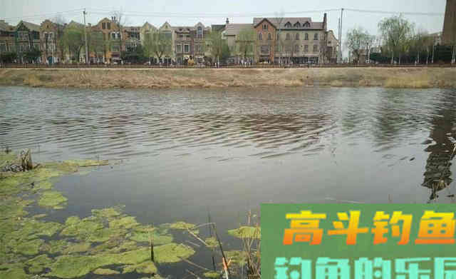 秋季钓鱼，不冷不热钓边边