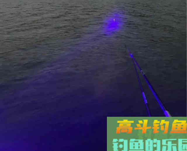 连日“空军”得出经验，这个3月鱼到底该怎么钓