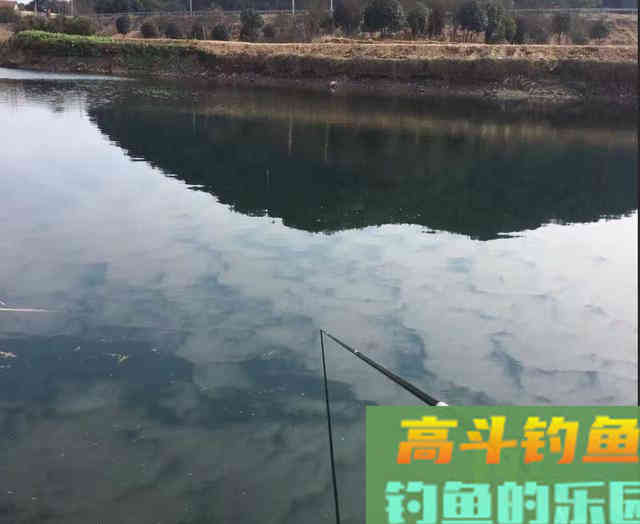 盯紧你的浮漂！冬天野钓别等黑漂，小信号也能中鱼