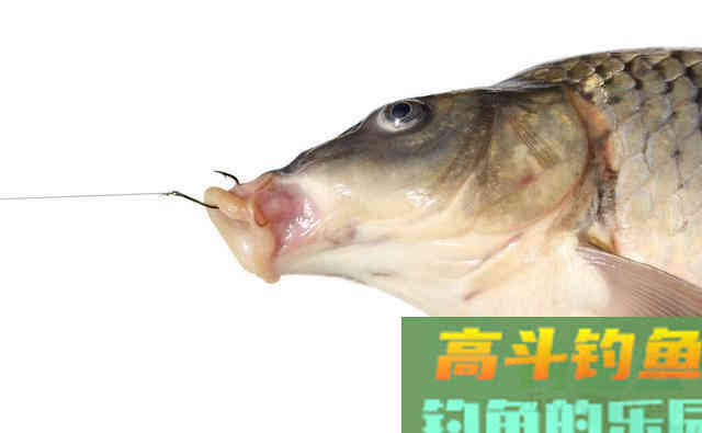 早春钓鱼，选择深浅的3个思路