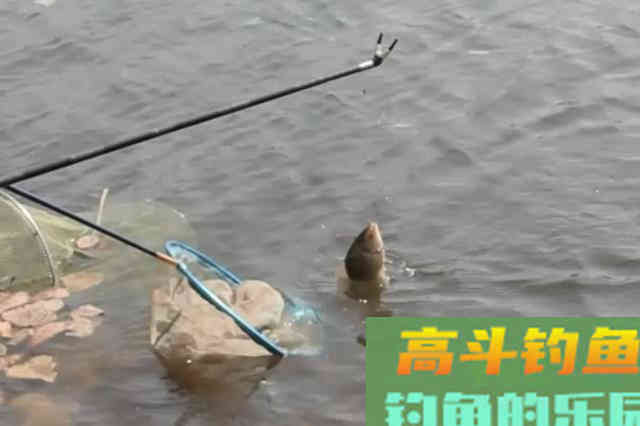 冬天越冷，鱼就越不好钓？老钓手献出锦囊妙计