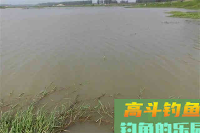 初秋想要钓大鱼，要钓两风和两雨