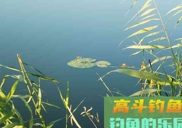 春季钓浅滩，别人连竿你不上鱼，因为钓位不是真浅滩