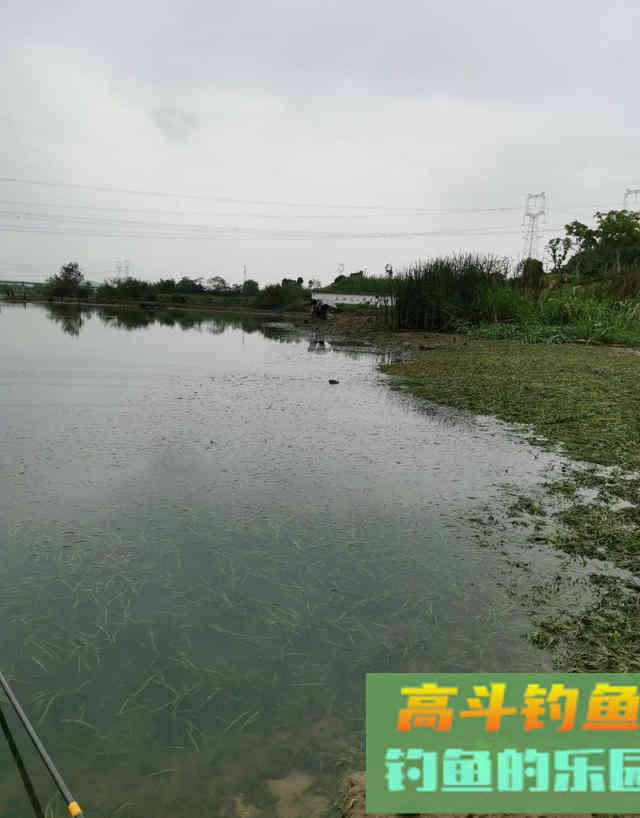 春天钓鱼别光顾着钓浅，有时候还得钓远，实践出真知