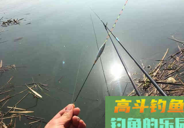 盯紧你的浮漂！冬天野钓别等黑漂，小信号也能中鱼