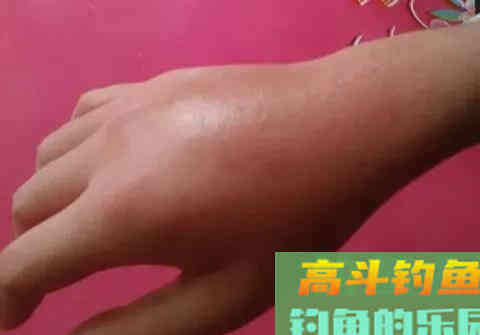 夏季夜钓，提防的不止是蛇与红火蚁