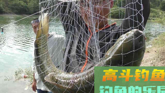 浅谈秋天钓鱼的天气，对应目标鱼和钓位