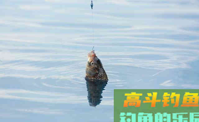 为啥雪后无鱼吃钩？原因有2点