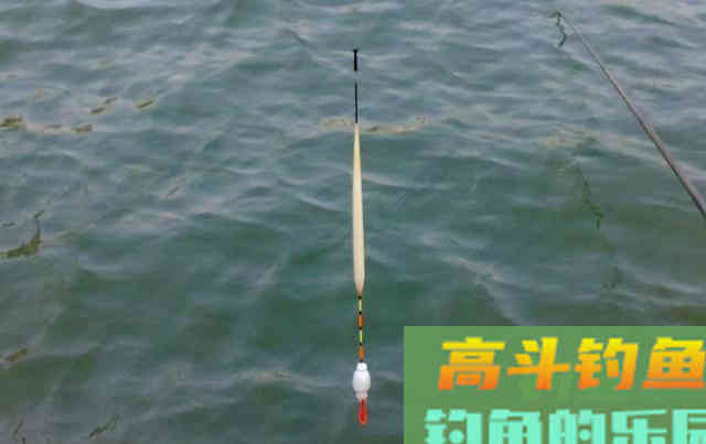 冬季想要钓得多，就要掌握核心技术