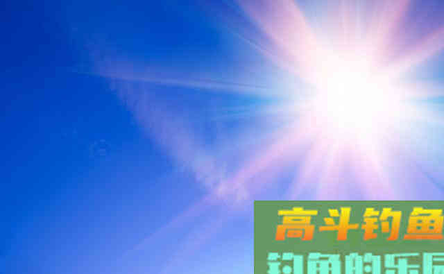不得不承认，夏季夜钓比白天强，这几点足以说明