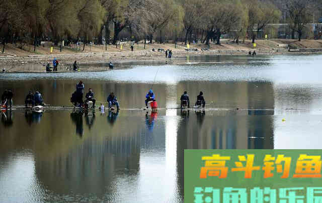 立春钓鱼，谨小慎微才是春钓爆护的不二法门