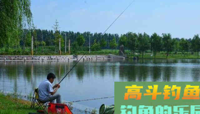 夏季野钓，灵活多变，因鱼施钓