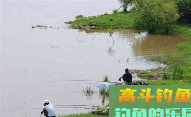 秋分前后，大鱼经常在这5个地方扎堆